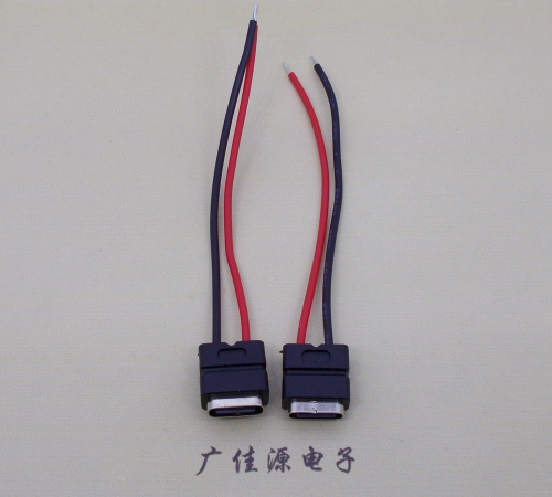 淄博type c2p防水母座焊线式带线注塑成型带接线端子/不带接线端子充电连接器